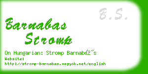 barnabas stromp business card